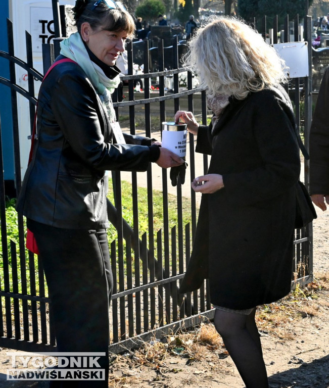 Kwesta w Tarnobrzegu