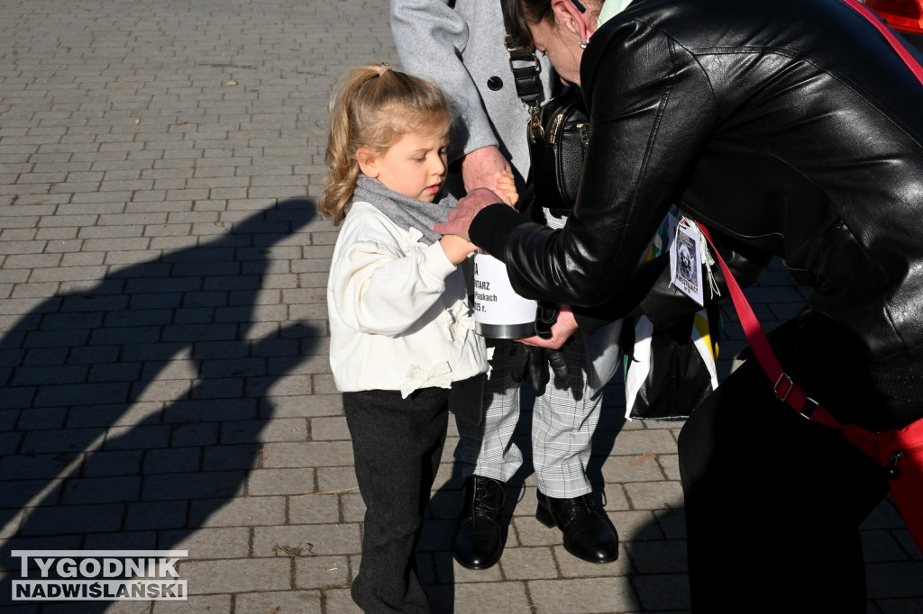 Kwesta w Tarnobrzegu