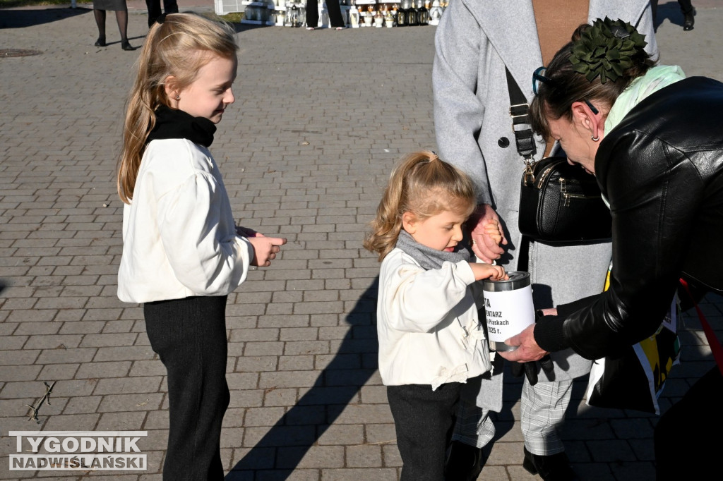 Kwesta w Tarnobrzegu