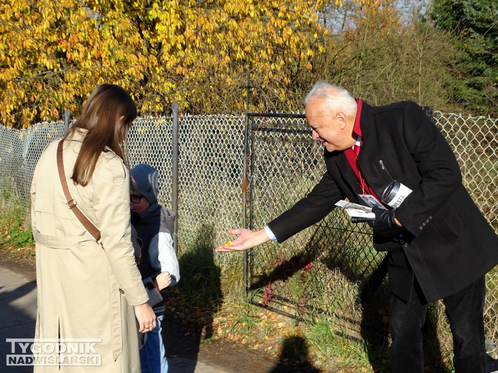 Kwesta w Tarnobrzegu