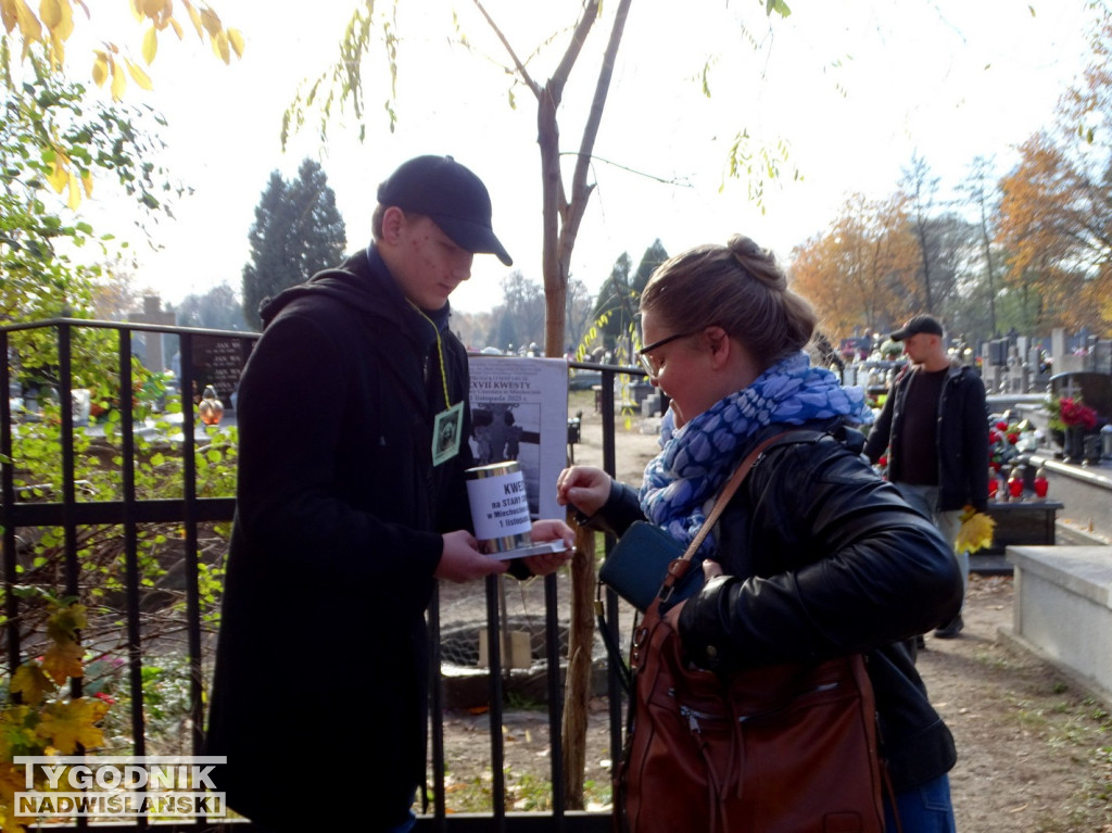 Kwesta w Tarnobrzegu