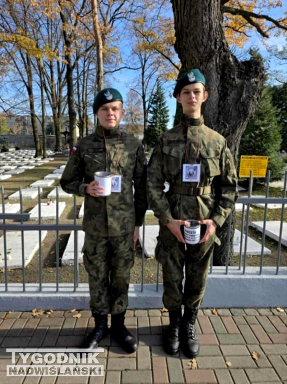 Kwesta w Tarnobrzegu