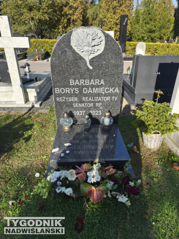 Groby sławnych osób na Wojskowych Powązkach