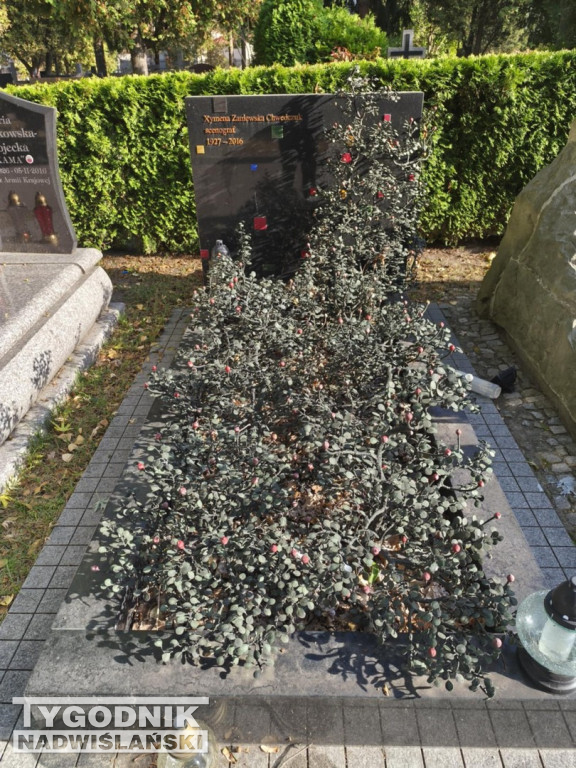 Groby sławnych osób na Wojskowych Powązkach