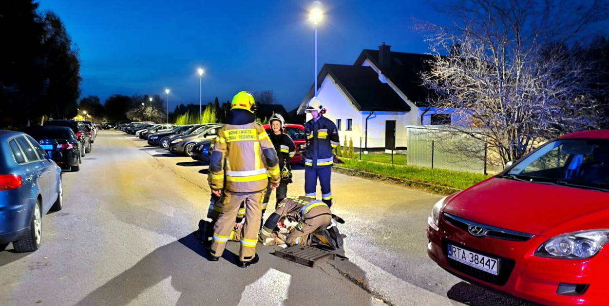 Strażacy z Gorzyc uratowali kota