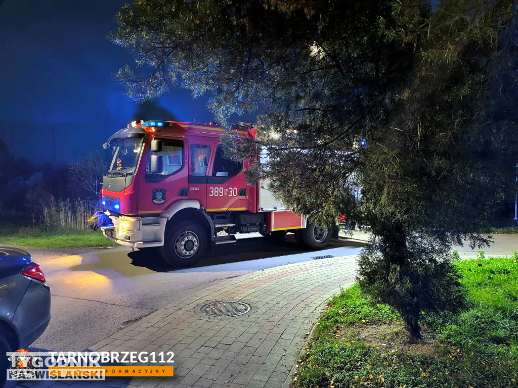 Strażacy z Gorzyc uratowali kota