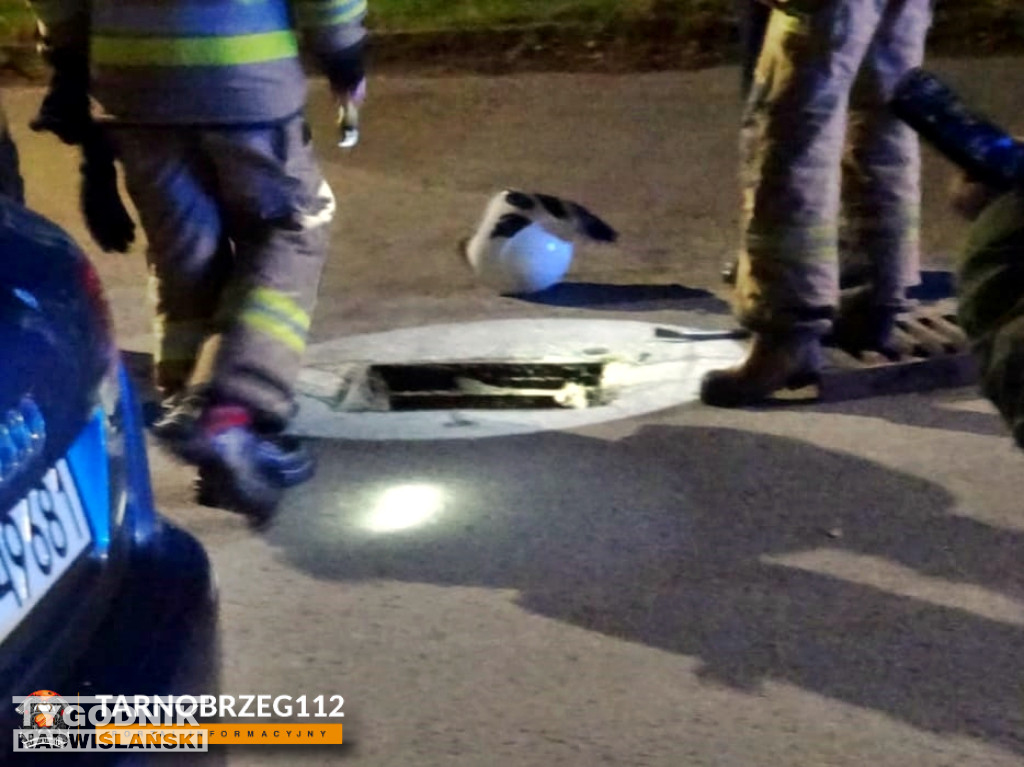 Strażacy z Gorzyc uratowali kota