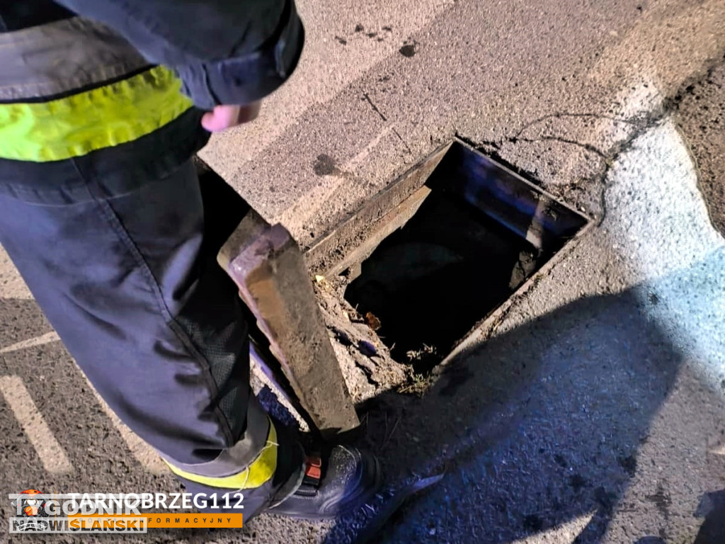 Strażacy z Gorzyc uratowali kota