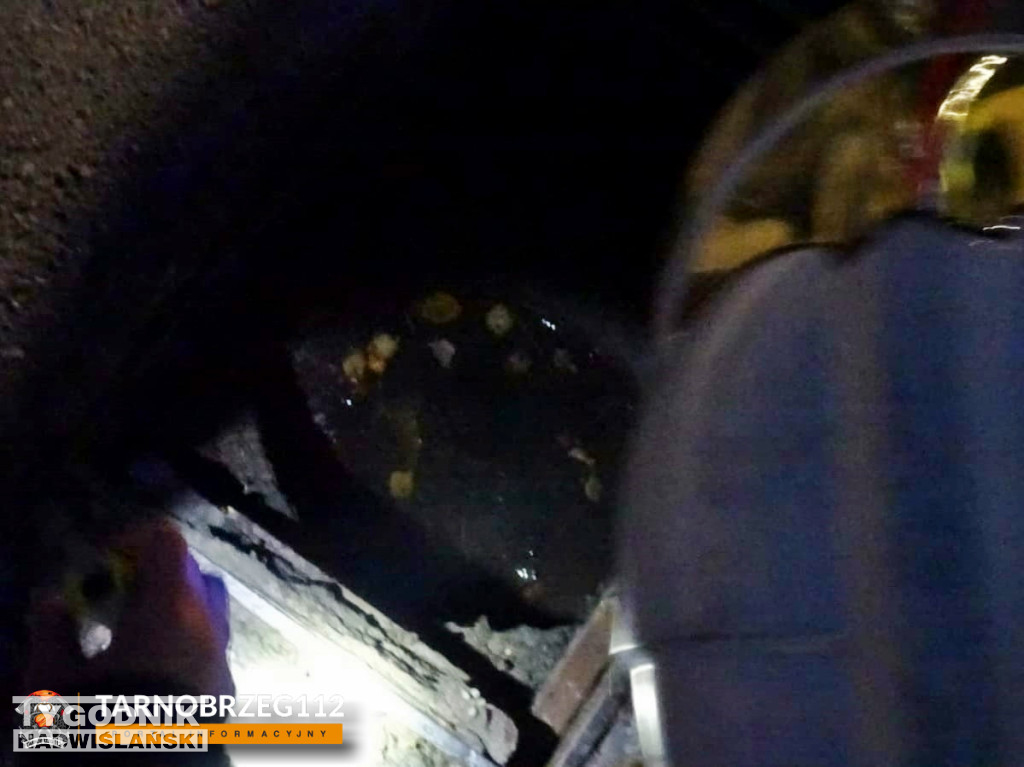 Strażacy z Gorzyc uratowali kota