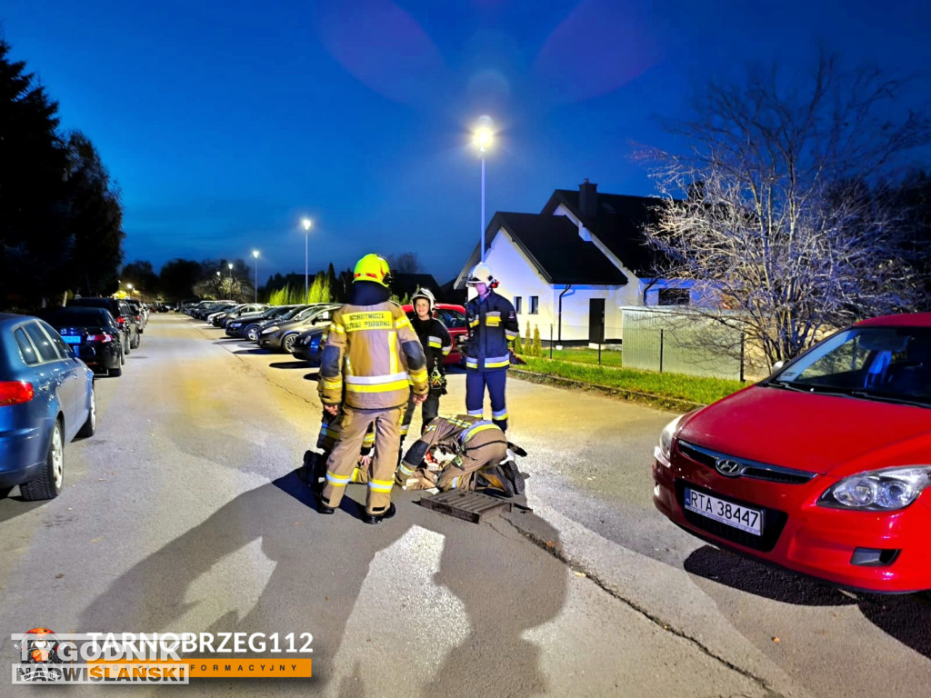 Strażacy z Gorzyc uratowali kota