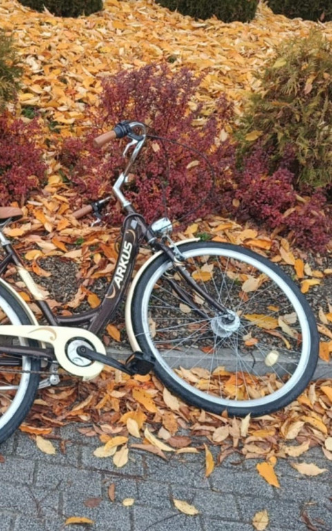 Potrącenie pieszej w Połańcu