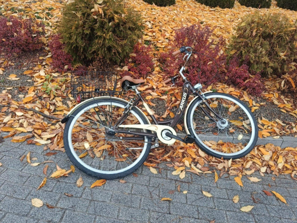 Potrącenie pieszej w Połańcu