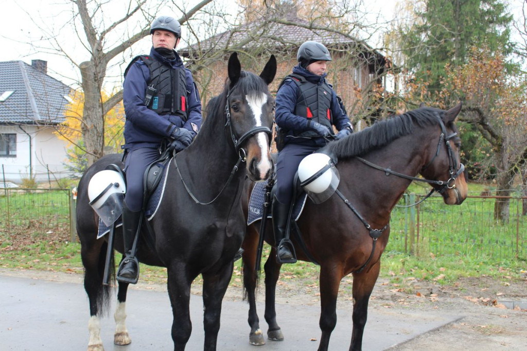 Policja na meczu Stal Gorzyce - Czarni Jasło