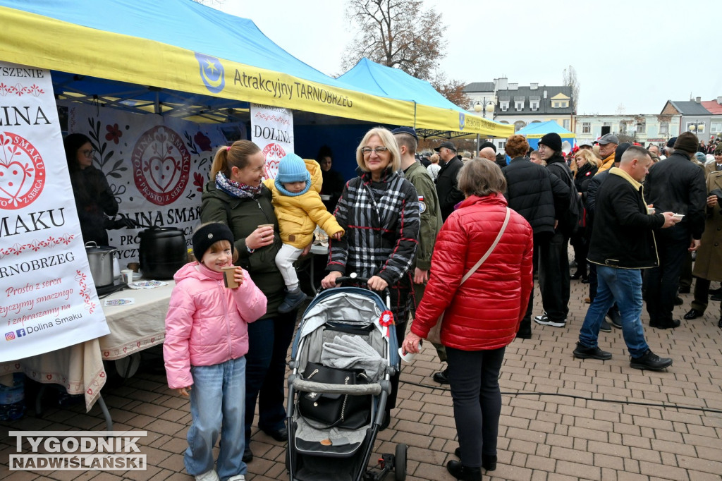 Patriotyczny Piknik na 11 listopada w Tarnobrzegu