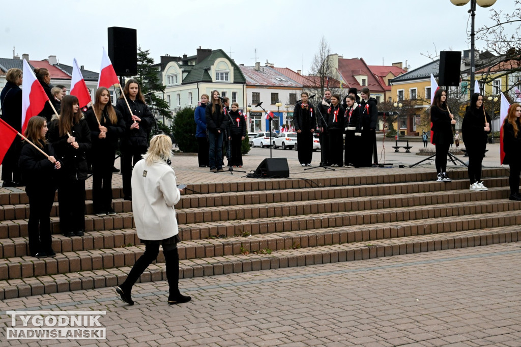 Patriotyczny Piknik na 11 listopada w Tarnobrzegu