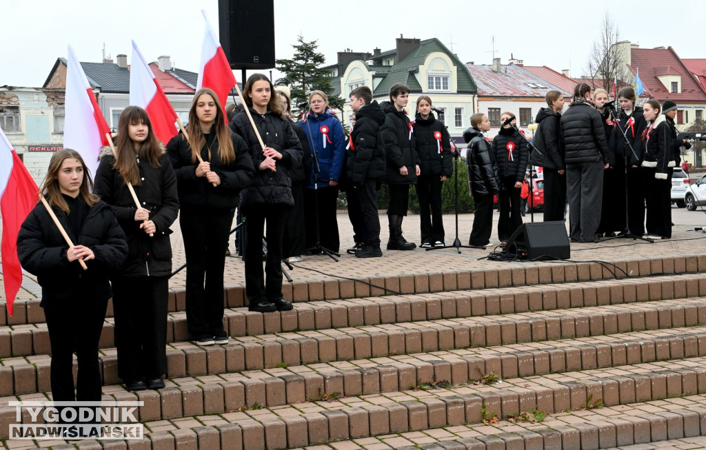 Patriotyczny Piknik na 11 listopada w Tarnobrzegu