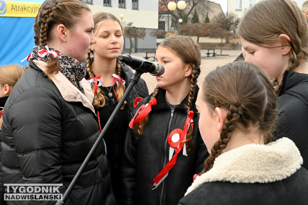 Patriotyczny Piknik na 11 listopada w Tarnobrzegu