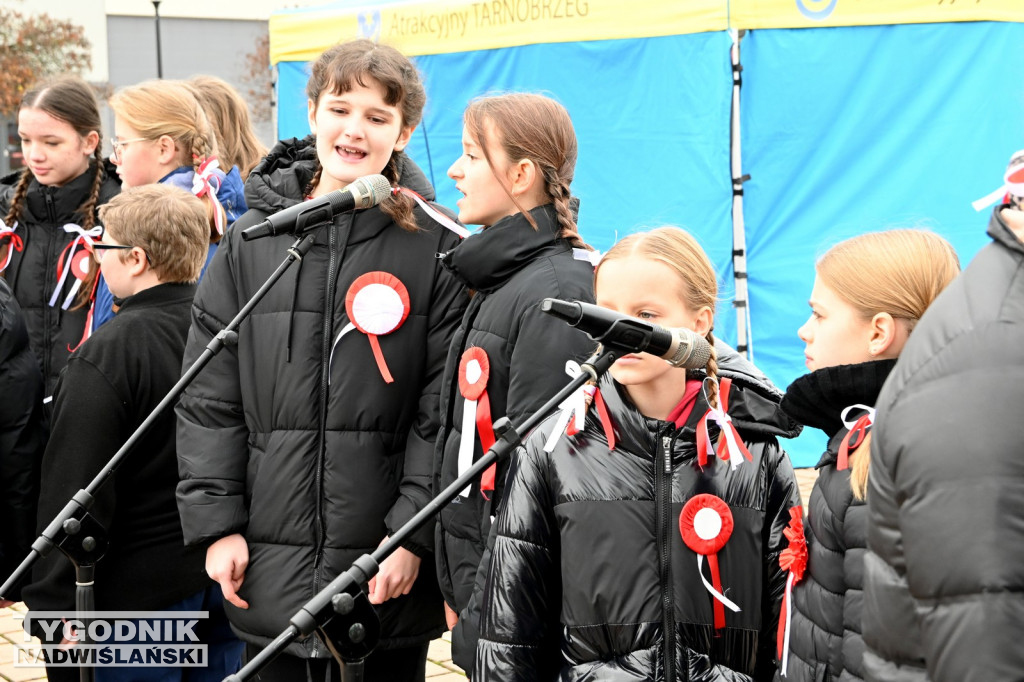 Patriotyczny Piknik na 11 listopada w Tarnobrzegu