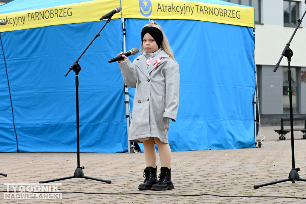 Patriotyczny Piknik na 11 listopada w Tarnobrzegu