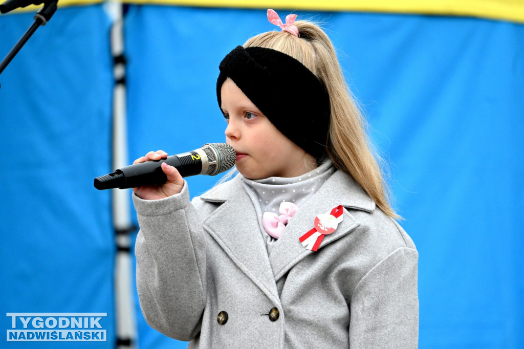 Patriotyczny Piknik na 11 listopada w Tarnobrzegu