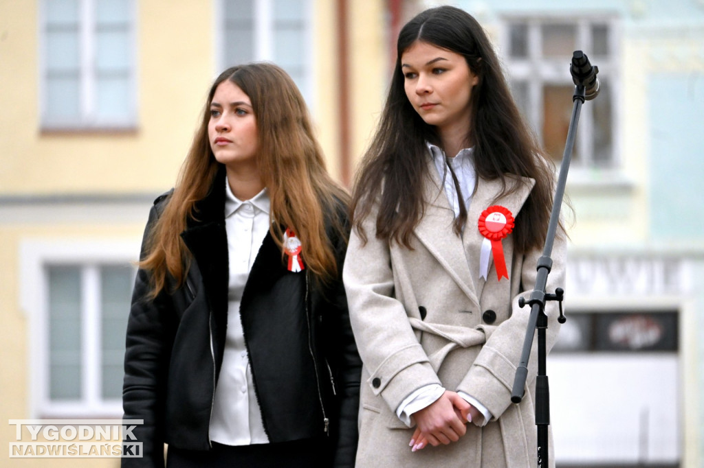 Patriotyczny Piknik na 11 listopada w Tarnobrzegu
