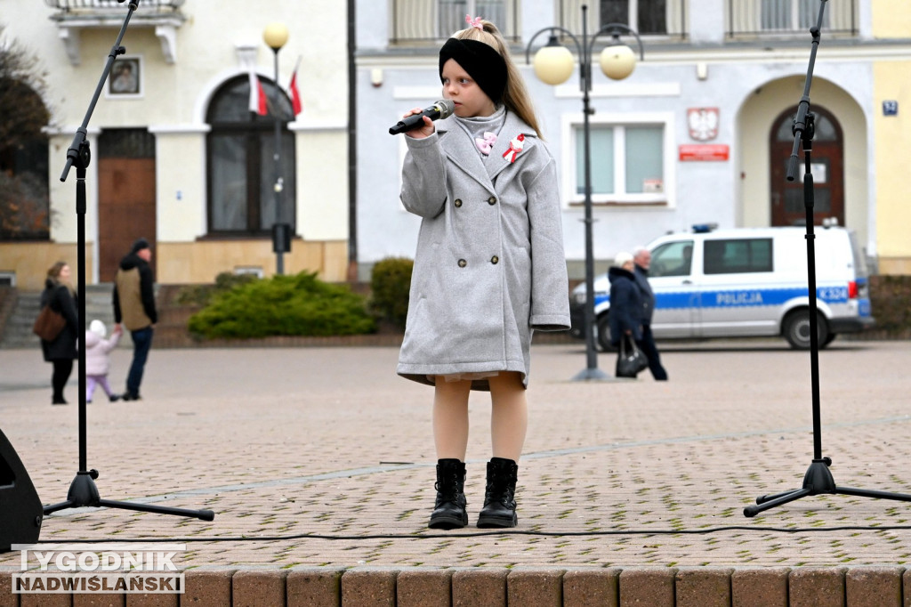 Patriotyczny Piknik na 11 listopada w Tarnobrzegu