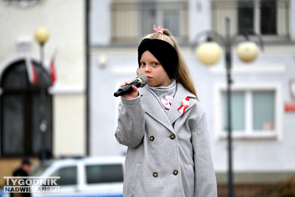 Patriotyczny Piknik na 11 listopada w Tarnobrzegu