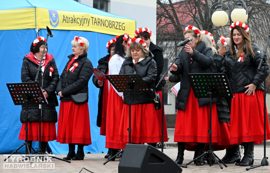 Patriotyczny Piknik na 11 listopada w Tarnobrzegu