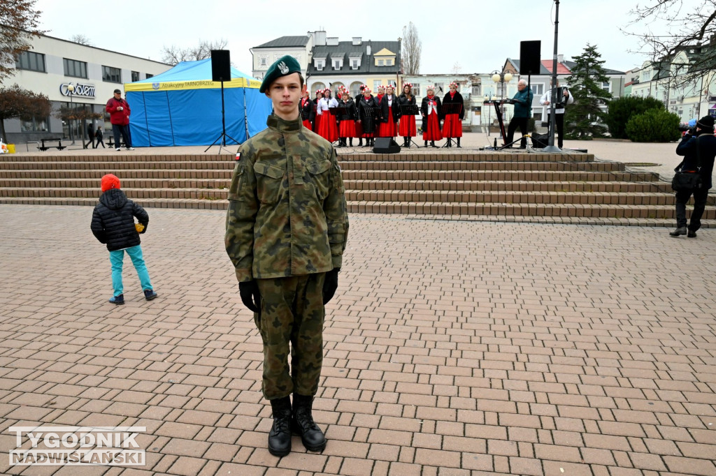 Patriotyczny Piknik na 11 listopada w Tarnobrzegu