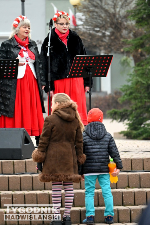 Patriotyczny Piknik na 11 listopada w Tarnobrzegu