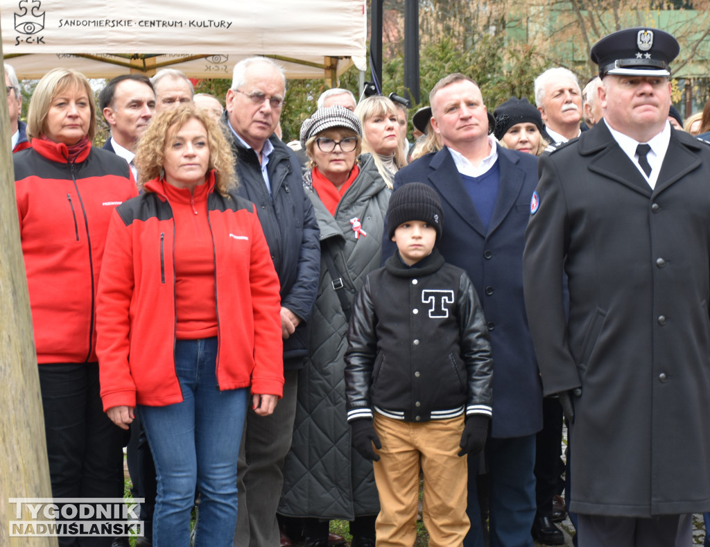 Narodowe Święto Niepodległości w Sandomierzu