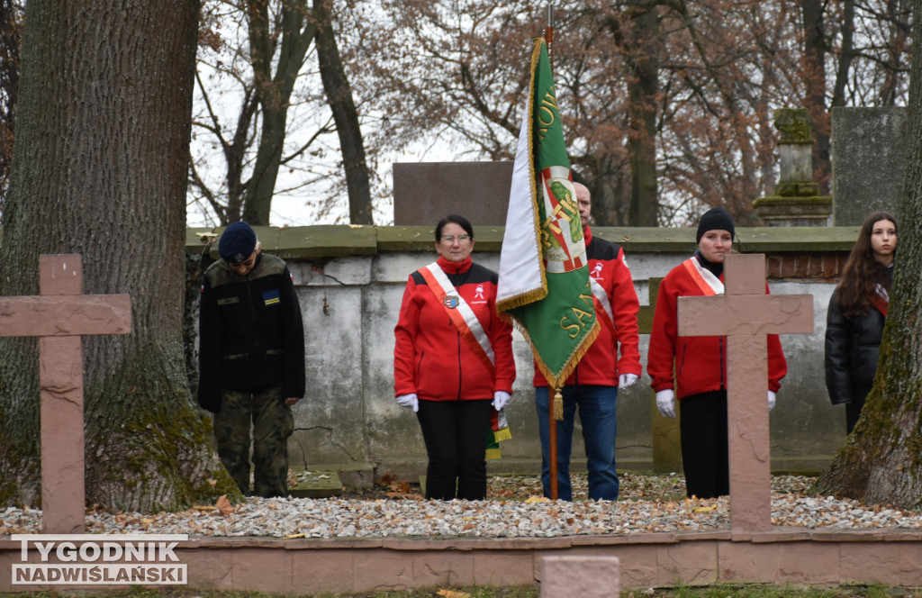 Narodowe Święto Niepodległości w Sandomierzu