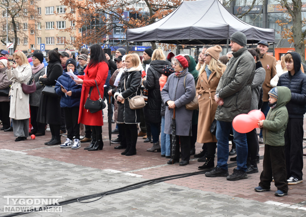 Święto Niepodległości w Sandomierzu (cz. II)
