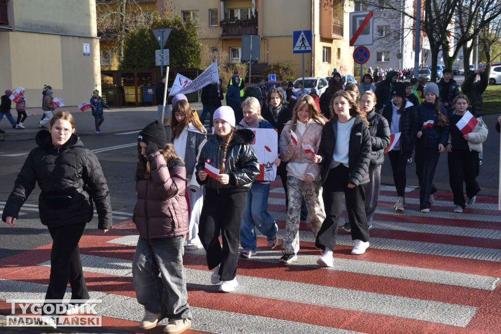 Marsz Niepodległości w Tarnobrzegu