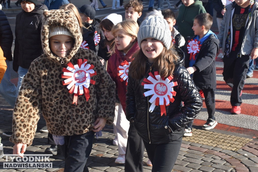 Marsz Niepodległości w Tarnobrzegu