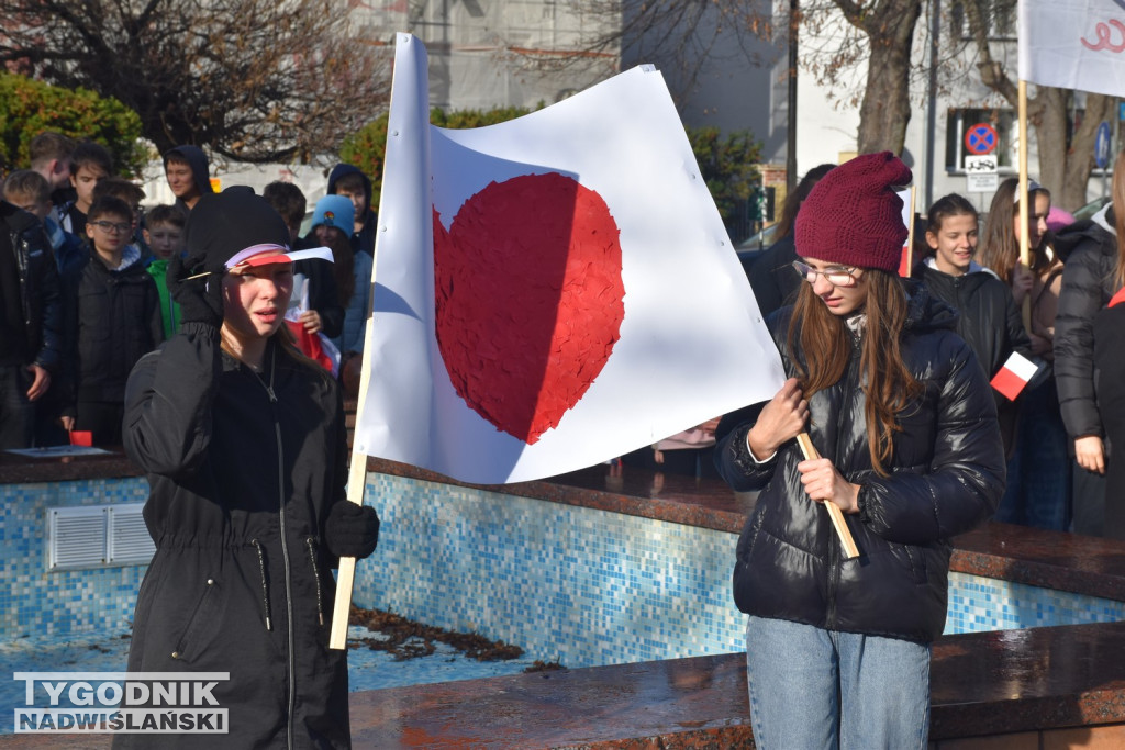 Marsz Niepodległości w Tarnobrzegu