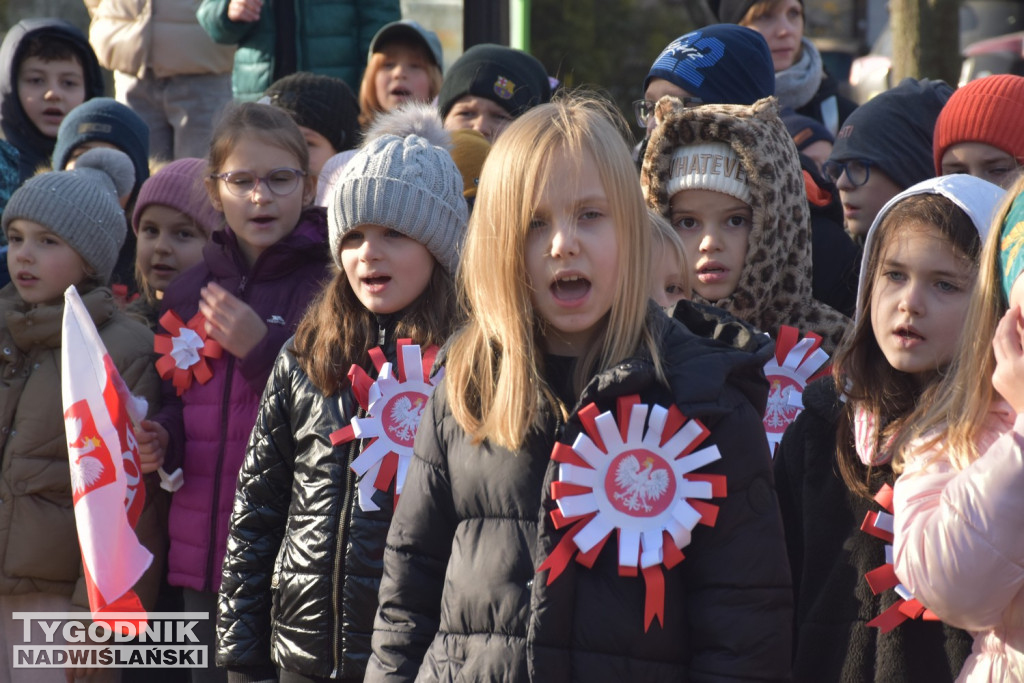 Marsz Niepodległości w Tarnobrzegu
