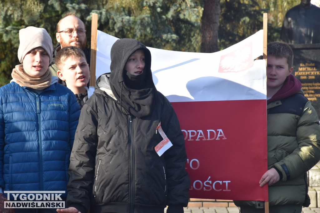 Marsz Niepodległości w Tarnobrzegu