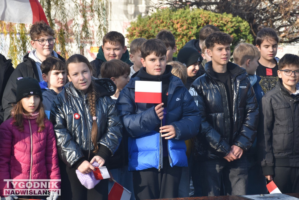 Marsz Niepodległości w Tarnobrzegu