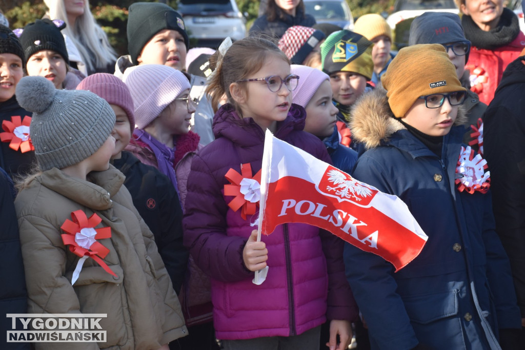 Marsz Niepodległości w Tarnobrzegu
