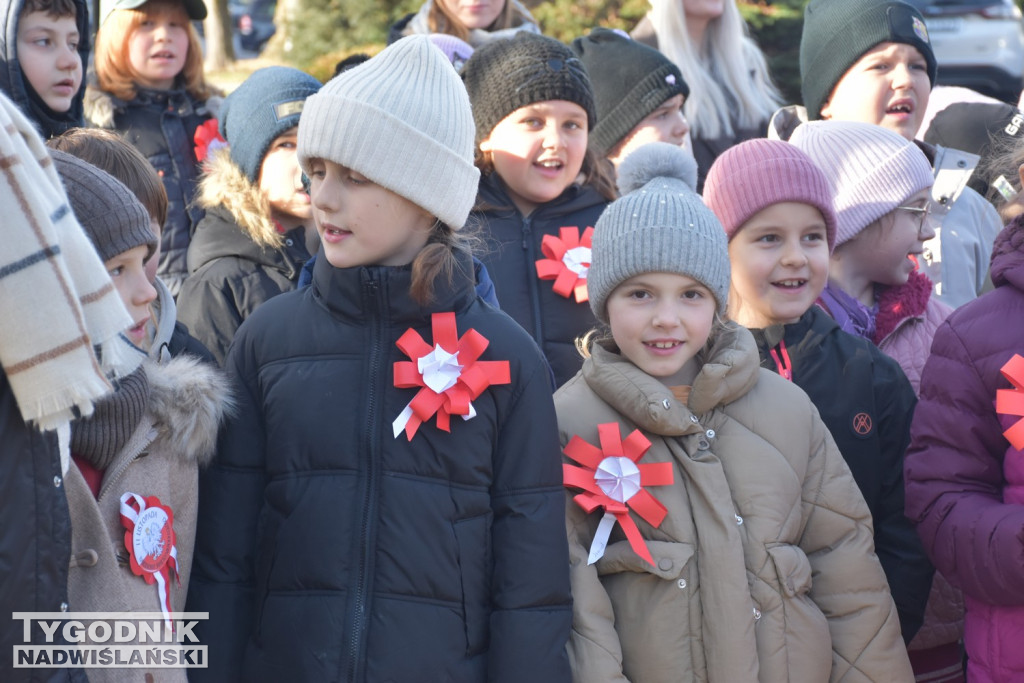 Marsz Niepodległości w Tarnobrzegu