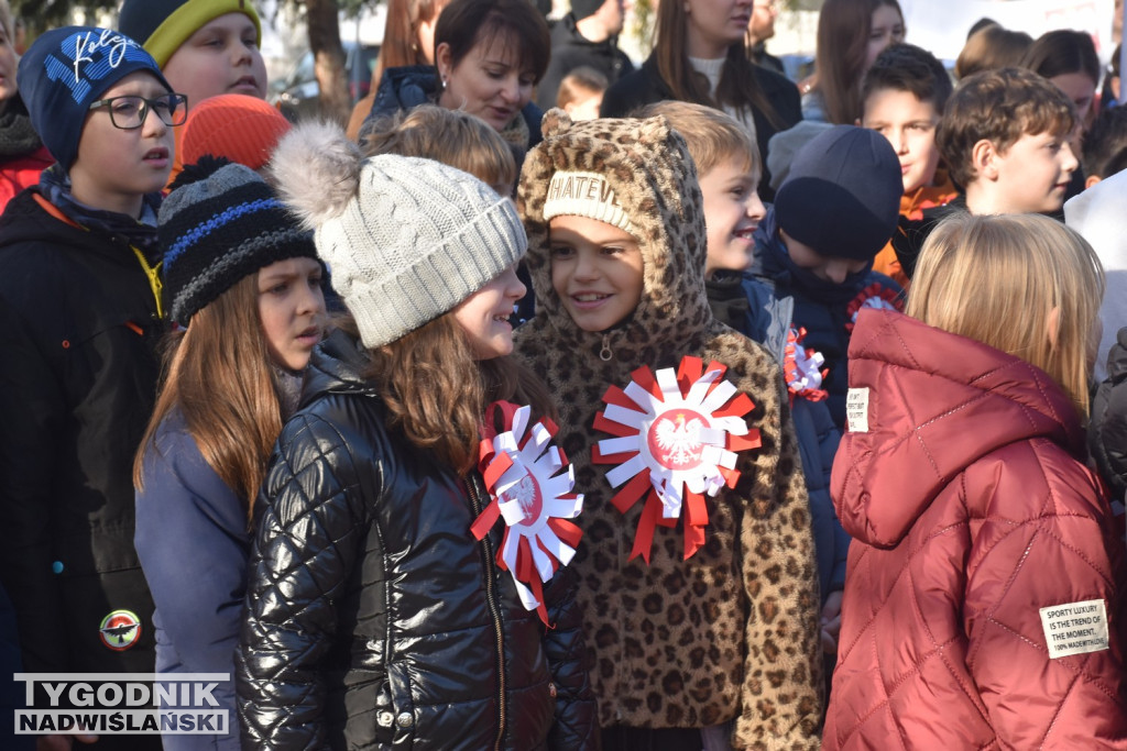 Marsz Niepodległości w Tarnobrzegu