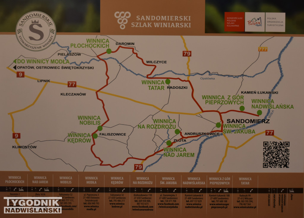 Święto Młodego Wina w Sandomierzu