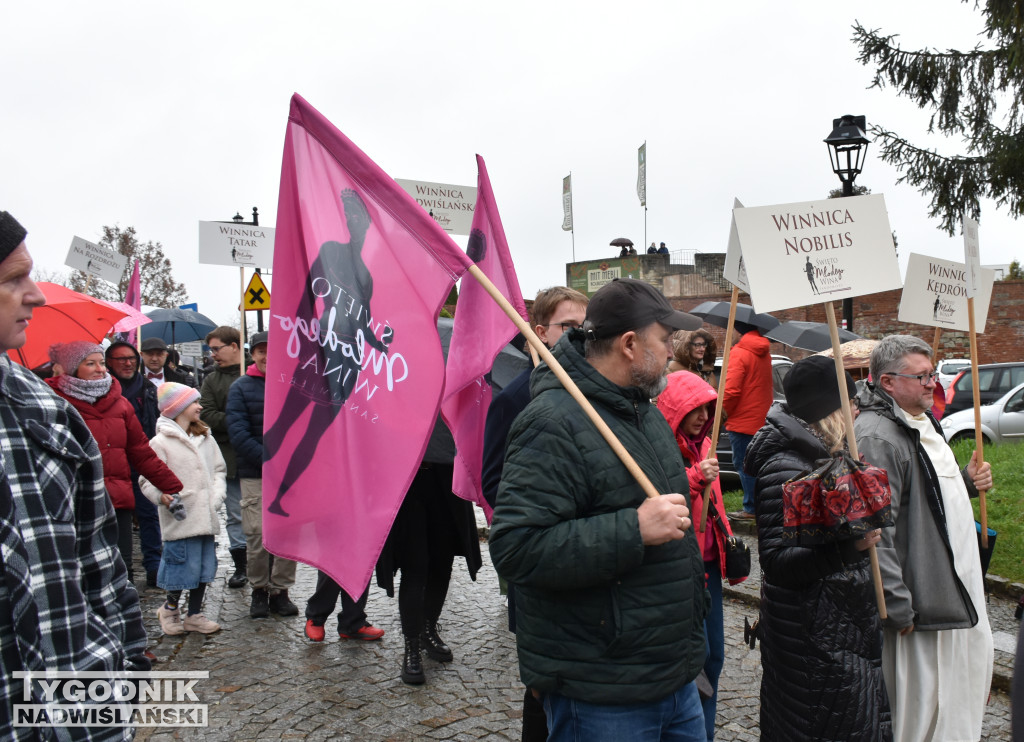 Święto Młodego Wina w Sandomierzu