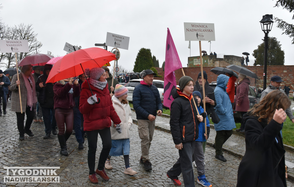 Święto Młodego Wina w Sandomierzu