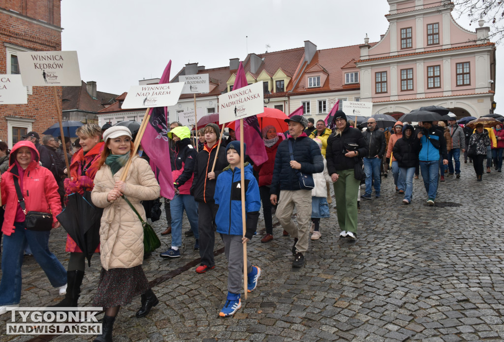 Święto Młodego Wina w Sandomierzu
