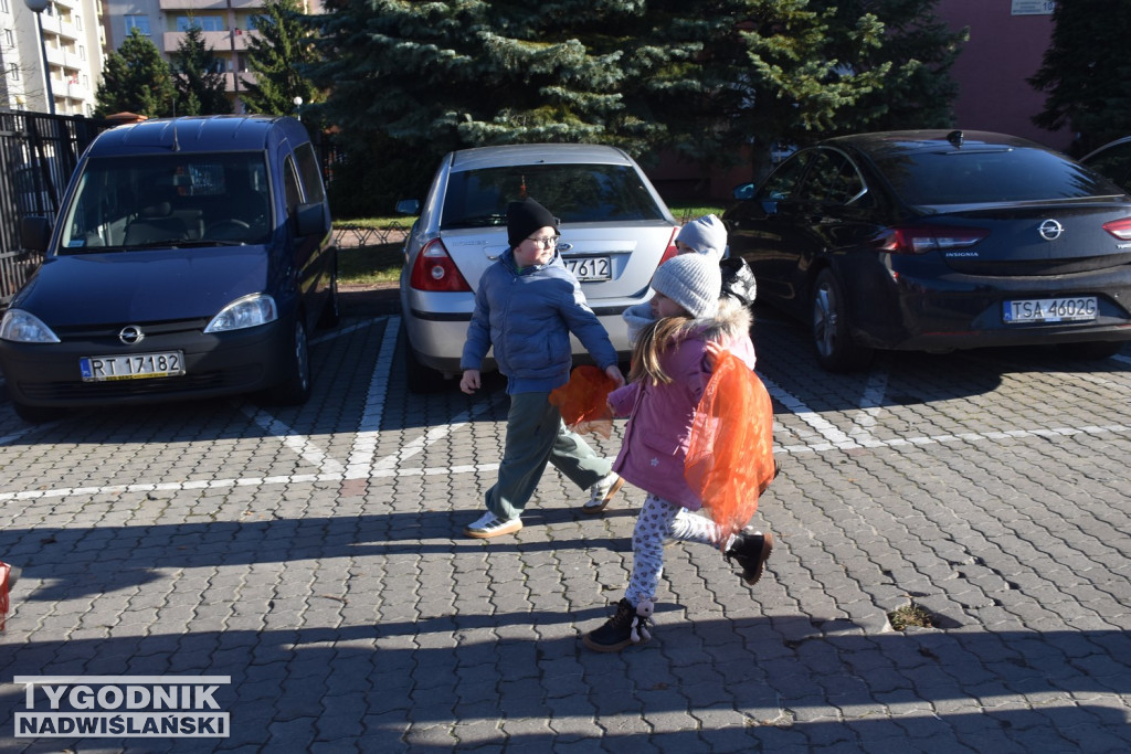 I Miejski Dzień Tumbo w Tarnobrzegu