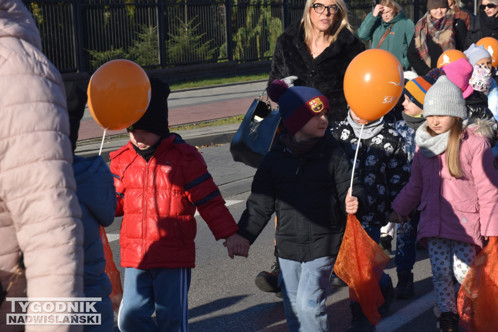 I Miejski Dzień Tumbo w Tarnobrzegu
