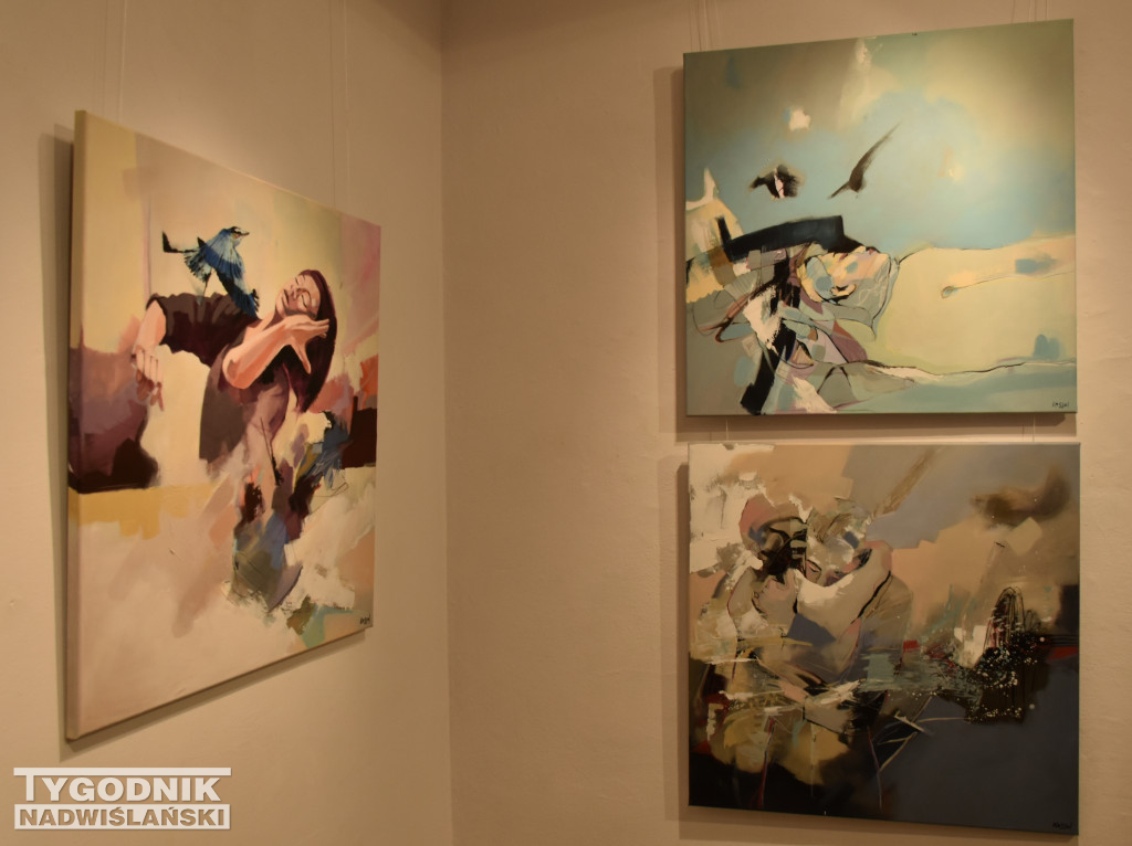 Otwarcie wystawy Katarzyny Sołtys w BWA