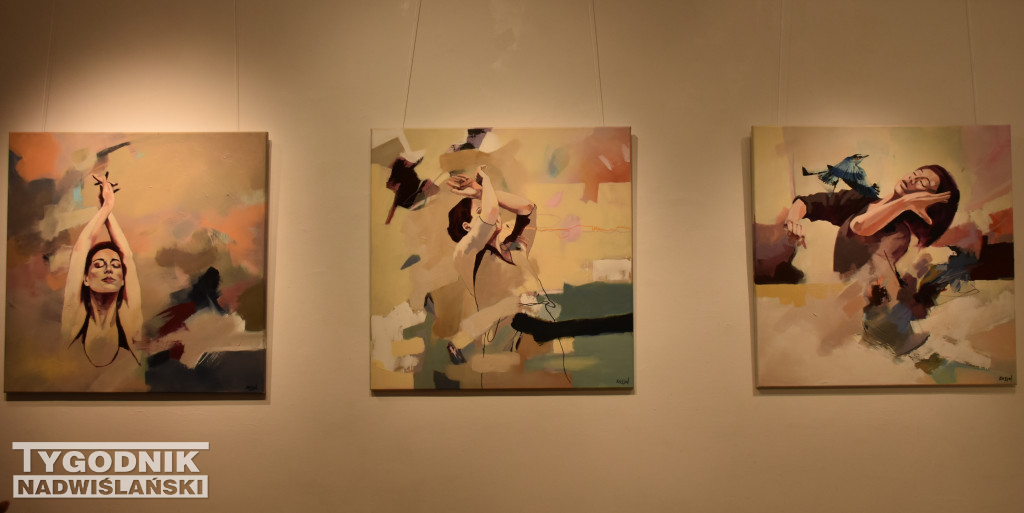 Otwarcie wystawy Katarzyny Sołtys w BWA